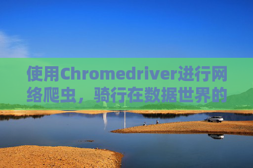 使用Chromedriver进行网络爬虫,骑行在数据世界的探索之旅 使用Chromedriver进行网络爬虫,骑行在数据世界的探索之旅