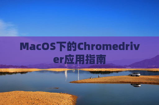 MacOS下的Chromedriver应用指南 MacOS下的Chromedriver应用指南