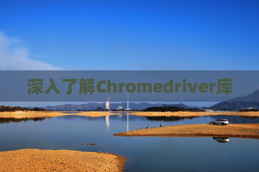深入了解Chromedriver库 深入了解Chromedriver库