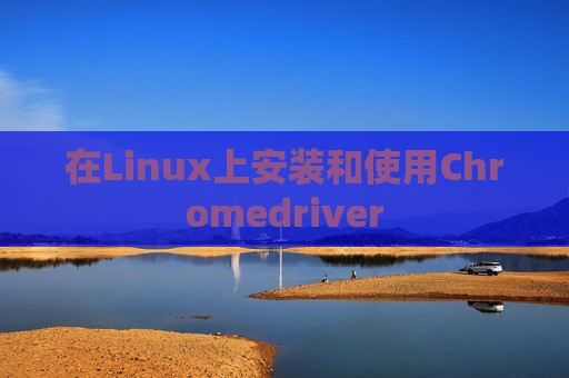 在Linux上安装和使用Chromedriver 在Linux上安装和使用Chromedriver