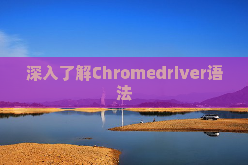 深入了解Chromedriver语法